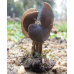 Мицелий Лопастника ямчатого / Лопастник бороздчатый (Helvella lacunosa)