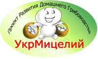 Мицелий грибов